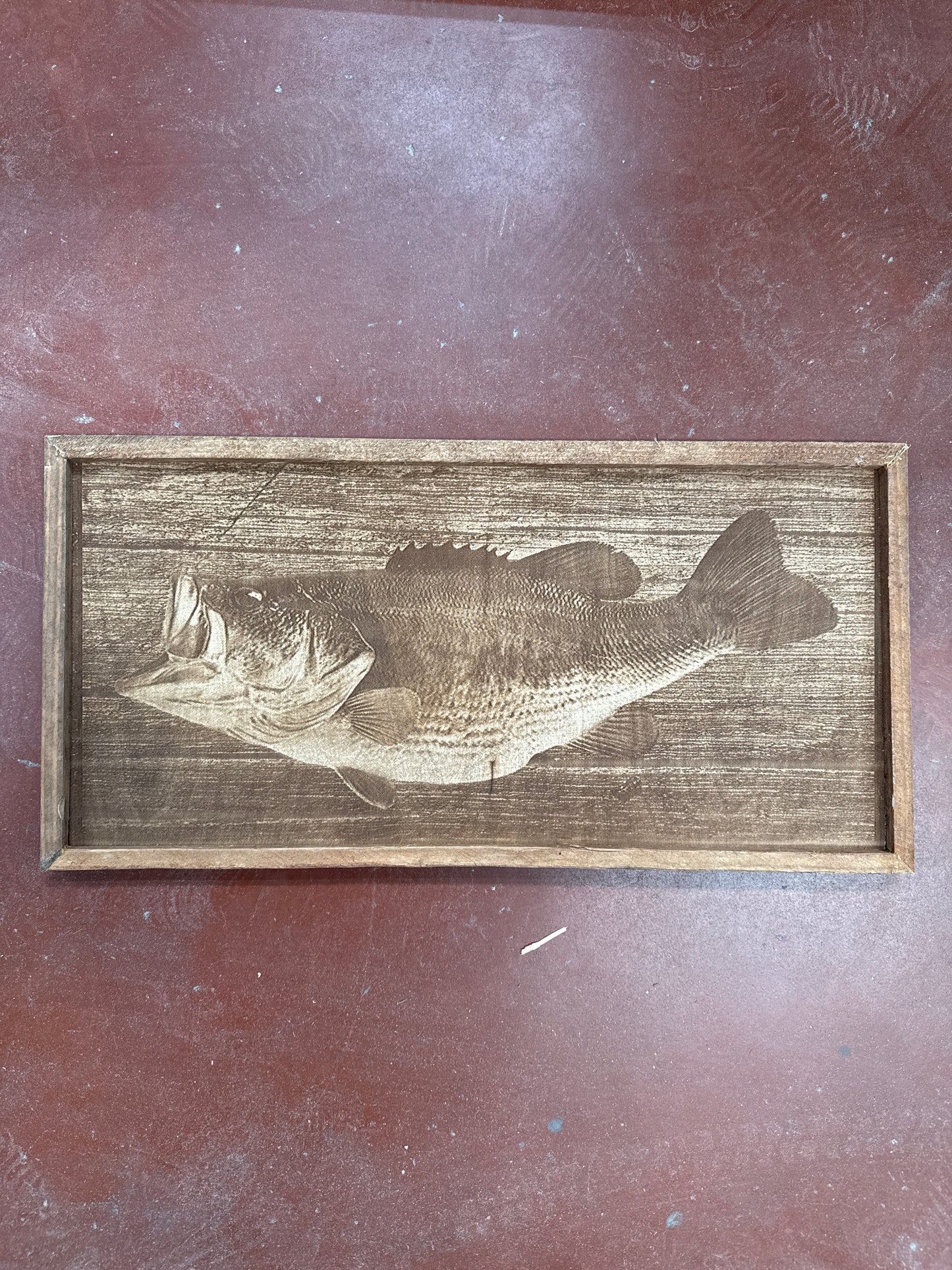 Mounted Bass Wall Art