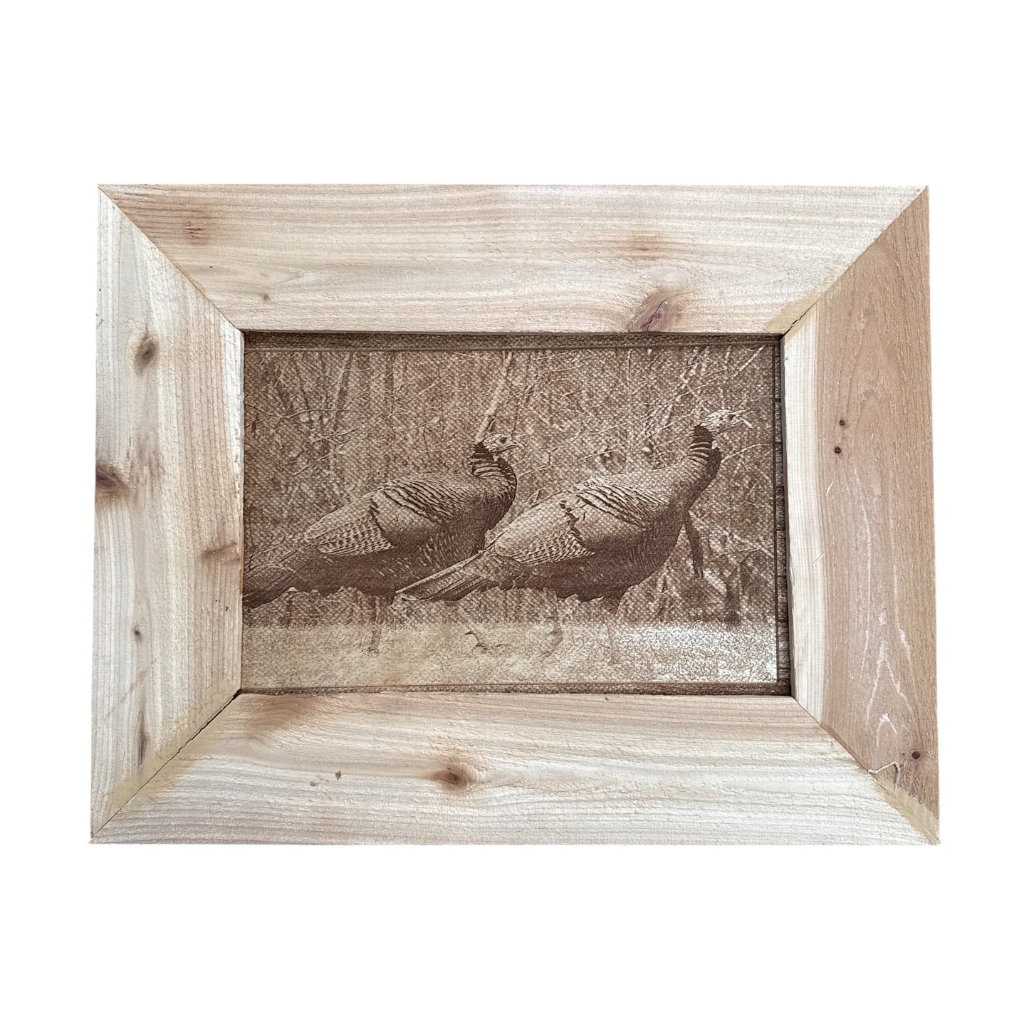 Turkey Gobblers Wall Art