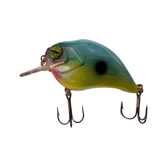 Shad