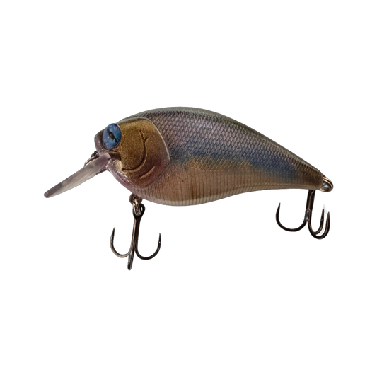 Sunfish