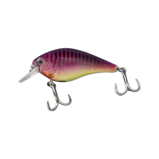JR Shallow diver — Style A — Purple Chartreuse