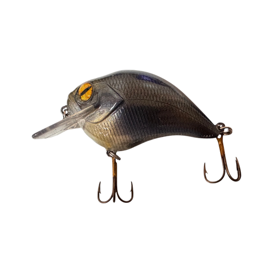 JR Squarebill — Squarebill