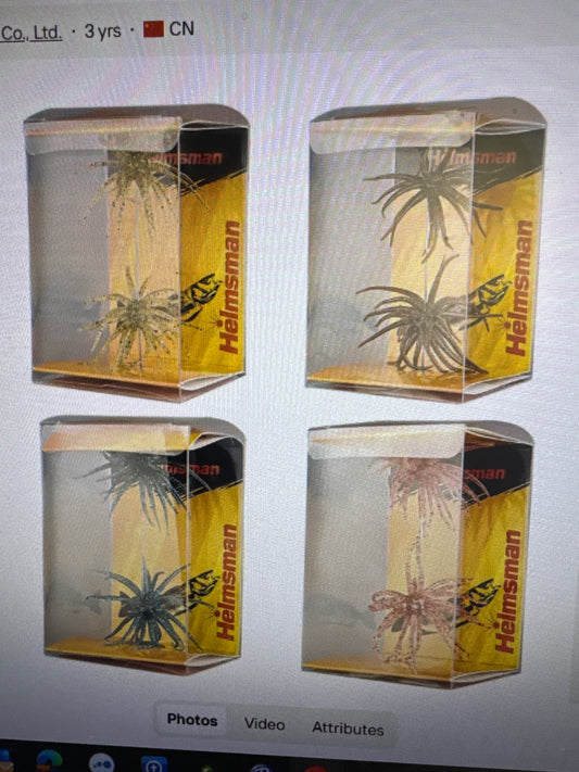 Sea Urchin pack