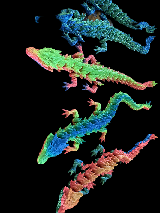 Dragons multi colors