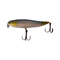  Blue Shad