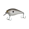  Chrome Spot