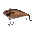  Copper Shad
