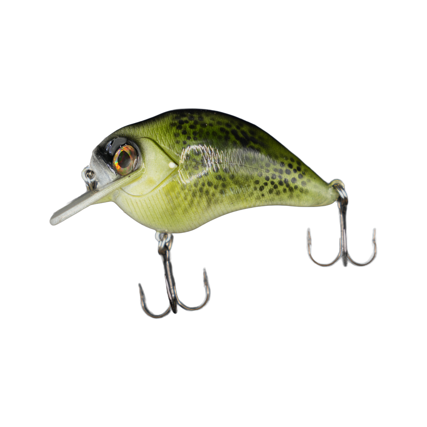 Green Bass