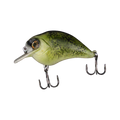  Green Bass