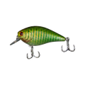  Green Tiger