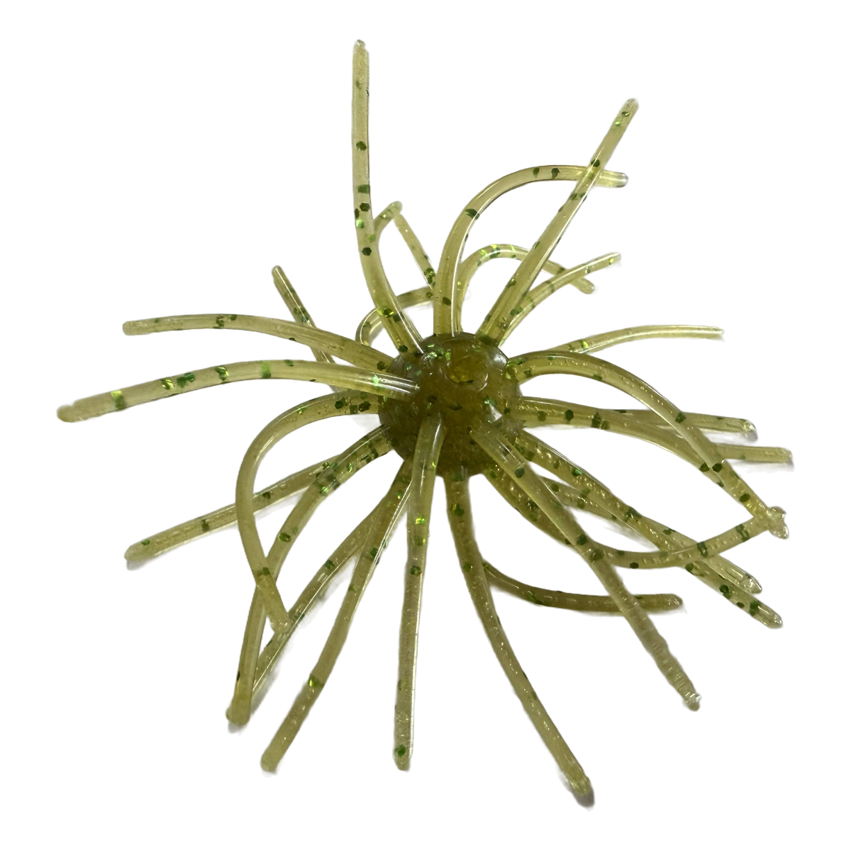Sea Urchin