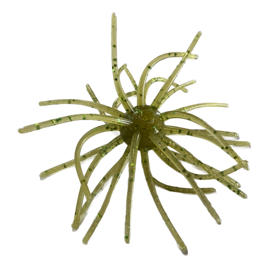 Sea Urchin