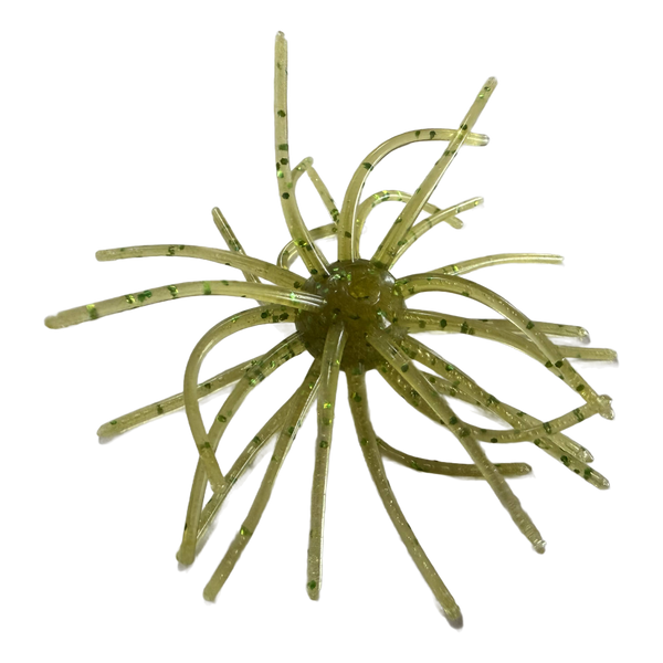 Sea Urchin