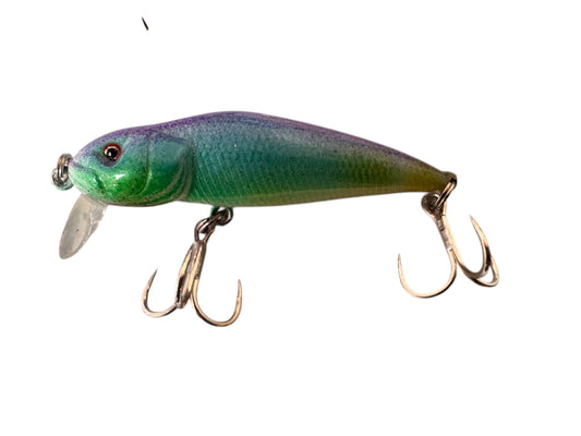 JR Top Water Wake Baits