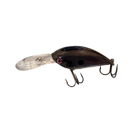 Midnight Shad