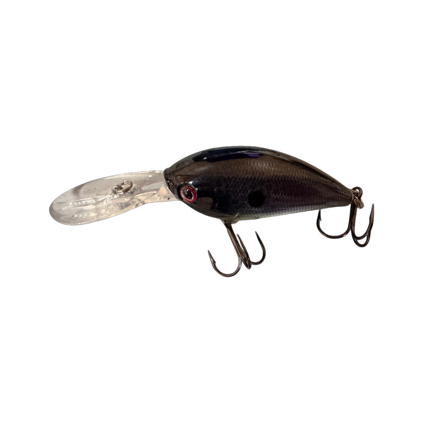 Midnight Shad