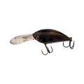  Midnight Shad