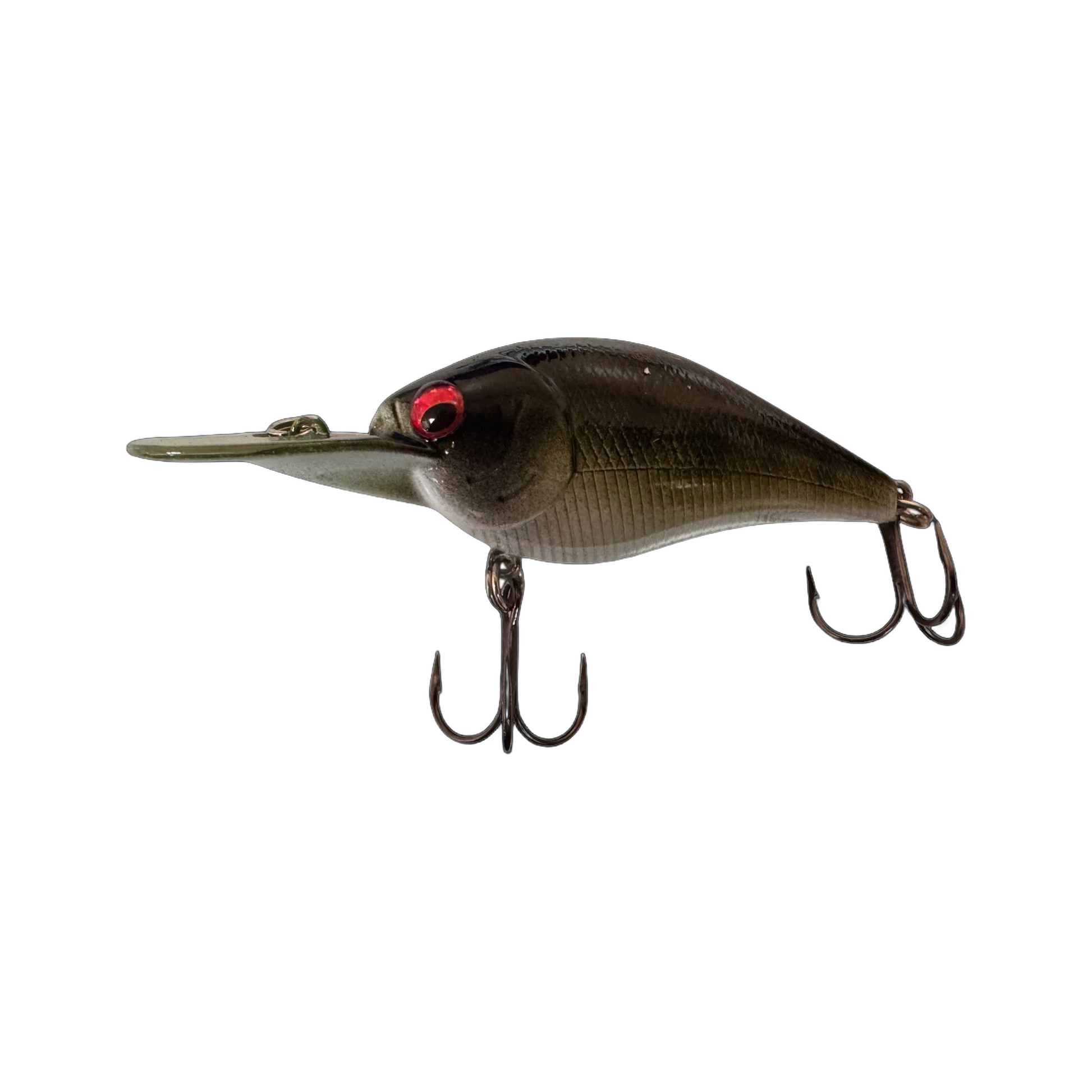 Olive Shad