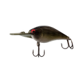  Olive Shad