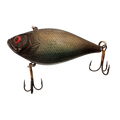  Olive Shad