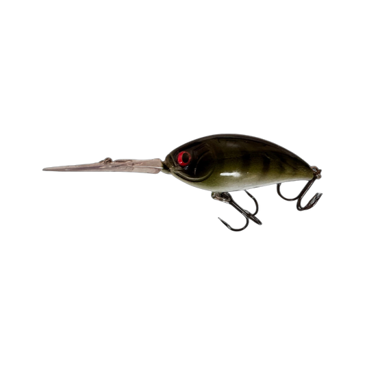 Perch