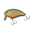  Perch