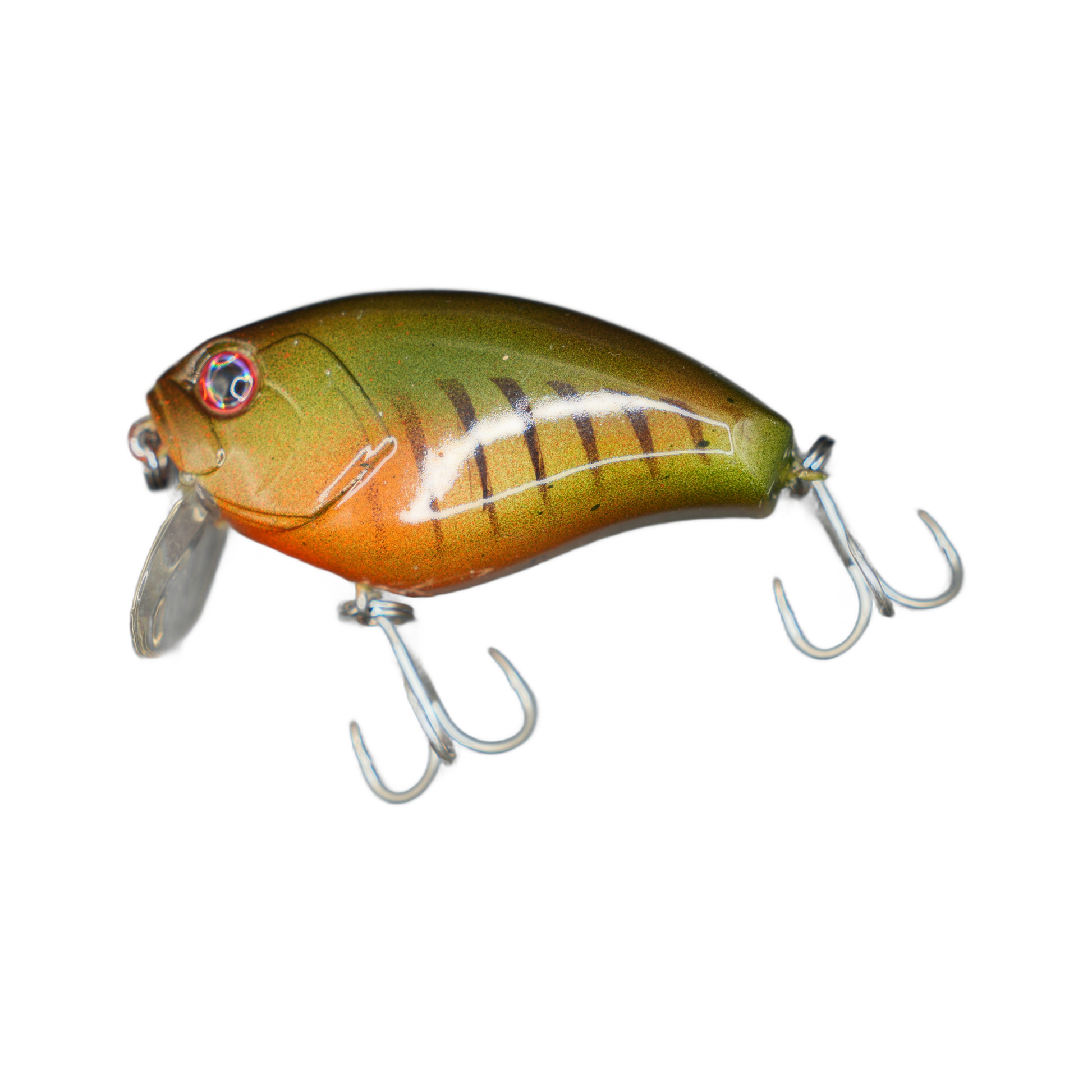 Perch