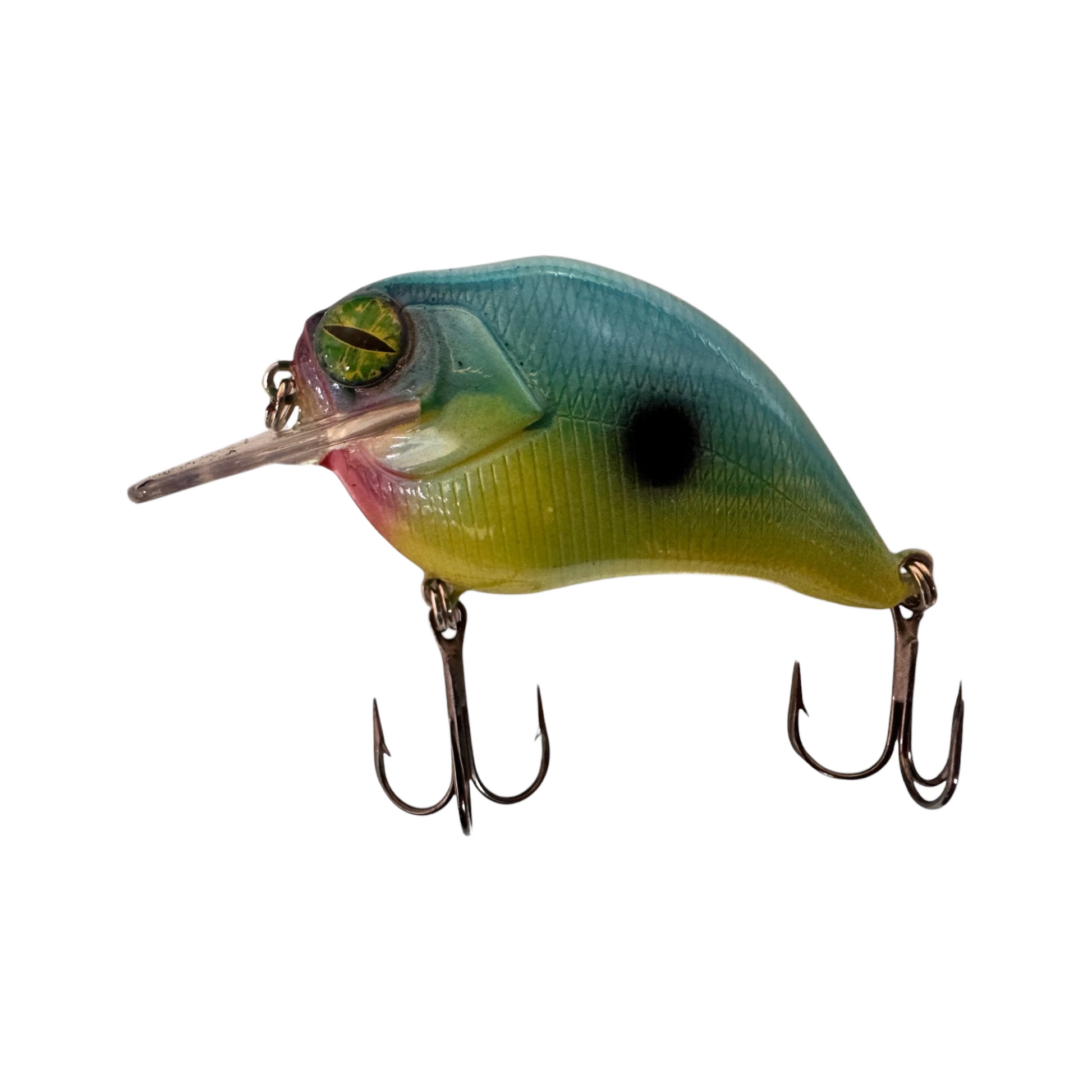 Shad