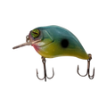 Shad
