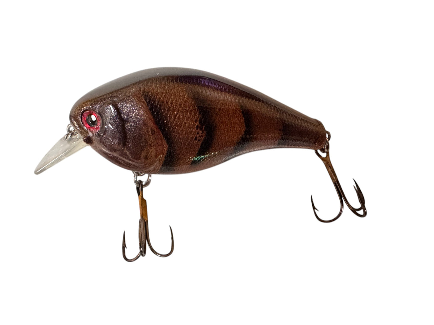 JR Shallow Water Crank Baits