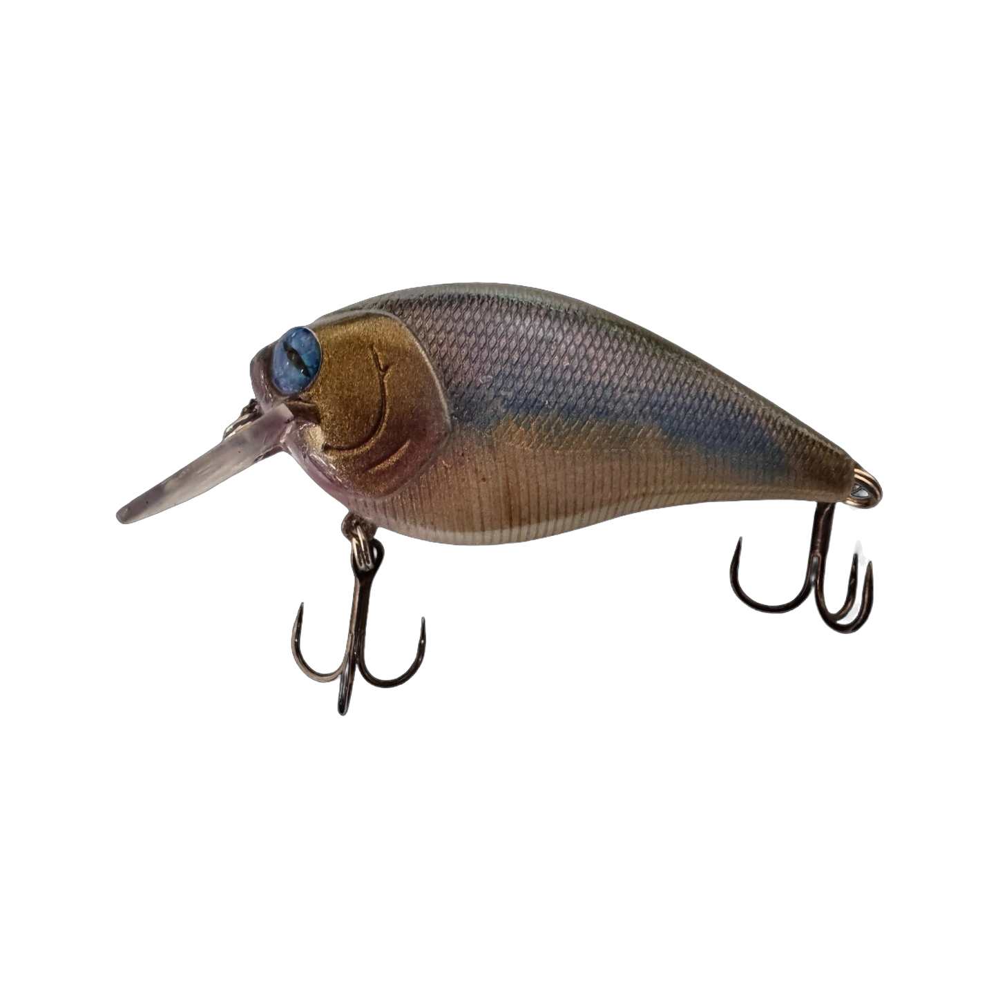 Sunfish