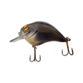  Sunfish