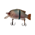  Sunfish