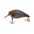  Sunfish