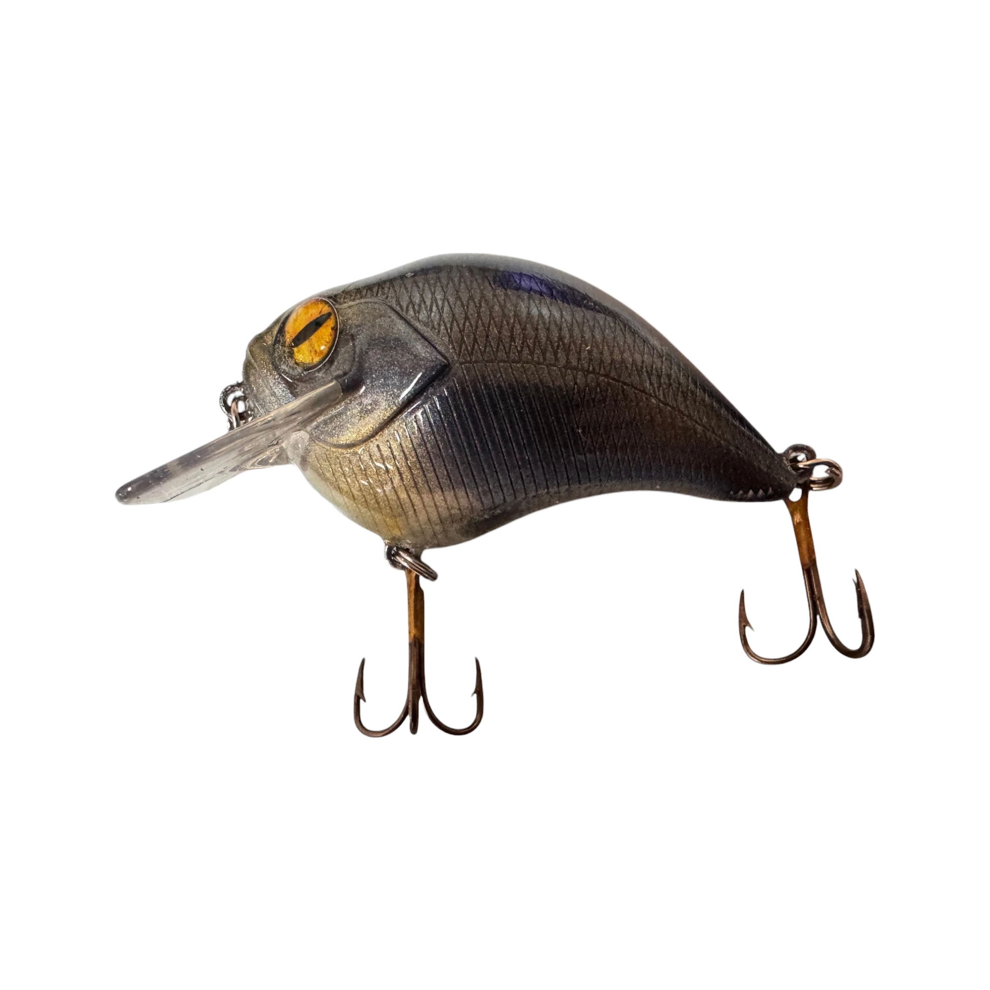 JR Squarebill — Squarebill